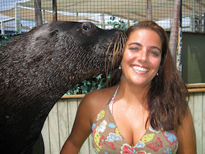 St. Thomas Sea Lion Encounter